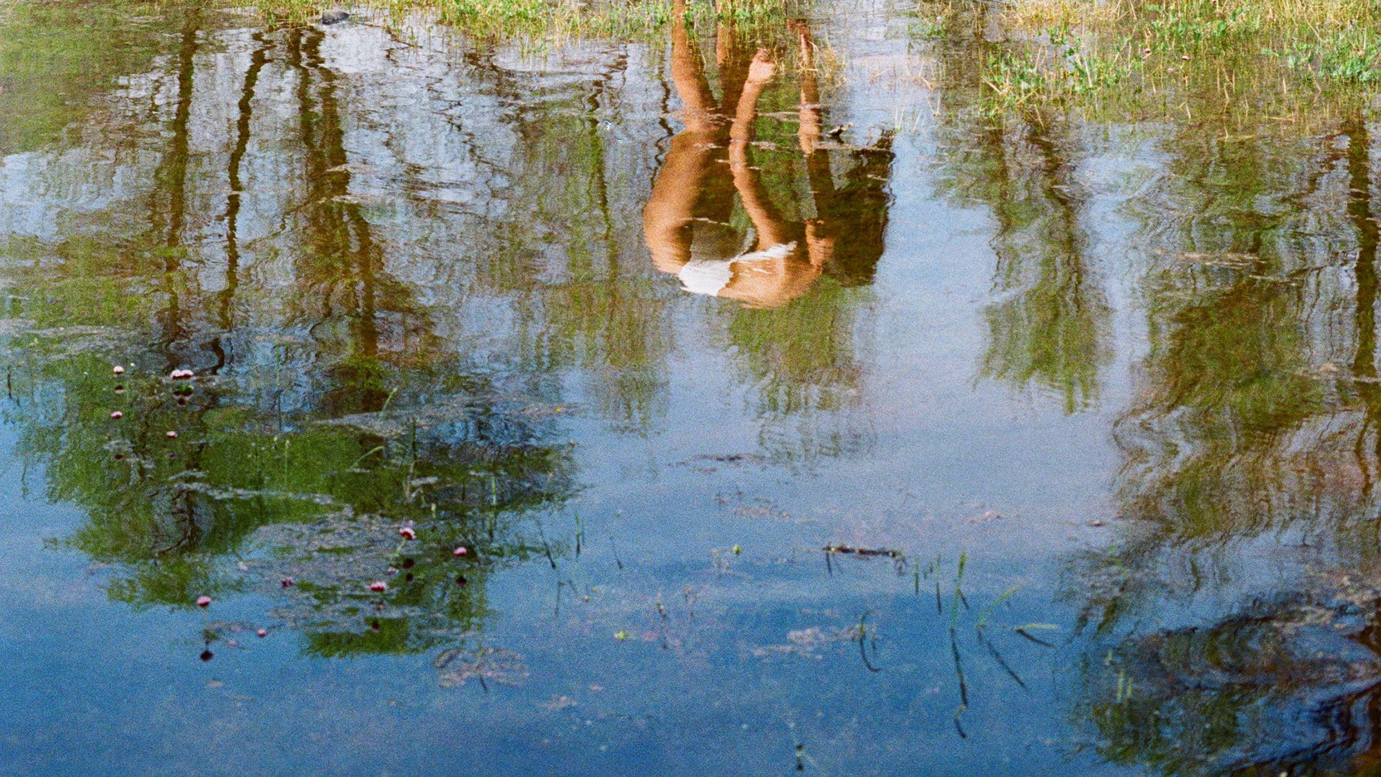 Water Neutrality - Sustainability at Reformation